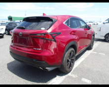 Lexus NX 2020