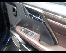 Lexus RX 2020