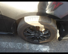 Toyota Corolla Fielder 2010