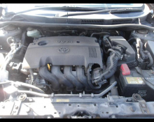 Toyota Corolla Fielder 2010