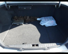 Jaguar XJ Series 1999