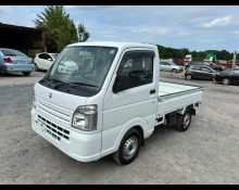 Suzuki Carry Truck 2019