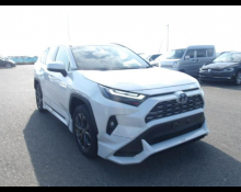 Used TOYOTA Rav4 Cars For Sale in Japan