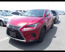Lexus NX 2020
