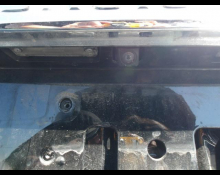 Toyota Land Cruiser Prado 2019