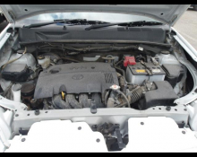 Toyota Succeed Wagon 2019