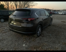 Mazda CX-8 2019