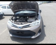 Toyota Corolla Axio 2019