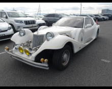 Mitsuoka Le Seyde 1991