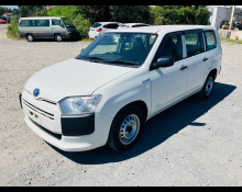 Toyota Succeed Wagon 2019