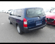 Toyota Succeed Wagon 2019