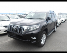 Toyota Land Cruiser Prado 2019