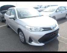 Toyota Corolla axio 2019 For Sale and Price