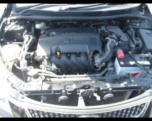 Toyota Corolla Fielder 2010