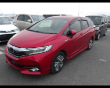 Honda Shuttle 2019