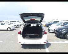 Toyota Corolla Fielder 2020