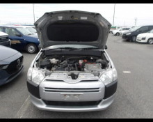Toyota Succeed Wagon 2019