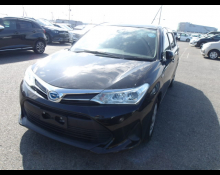 Toyota Corolla Fielder 2020