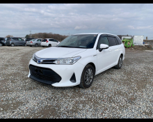 Toyota Corolla Fielder 2019