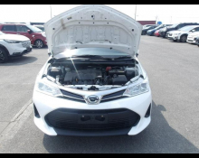 Toyota Corolla Fielder 2019
