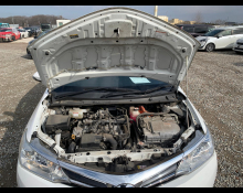 Toyota Corolla Fielder 2019