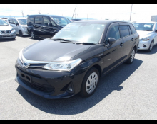Toyota Corolla Fielder 2019