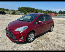Toyota Vitz 2019