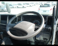 Isuzu Elf Truck 2020