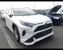 Used TOYOTA Rav4 Cars For Sale in Japan