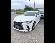 Lexus RX 2025