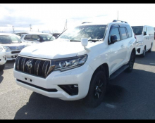Toyota Land Cruiser Prado 2021
