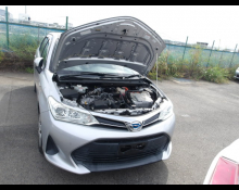 Toyota Corolla Axio 2019