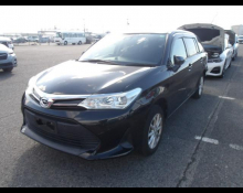 Toyota Corolla Fielder 2020