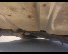 Mazda Axela Sports 2019