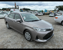 Toyota Corolla axio 2019 For Sale and Price