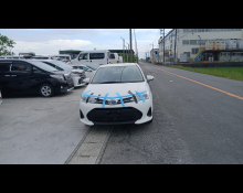 Toyota Corolla Fielder 2019