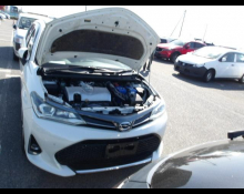 Toyota Corolla Fielder 2019