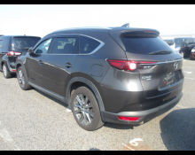 Mazda CX-8 2019
