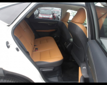 Lexus NX 2019