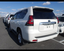Toyota Land Cruiser Prado 2019