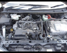 Toyota Corolla Fielder 2019