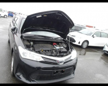 Toyota Corolla Fielder 2020