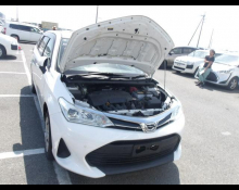 Toyota Corolla Fielder 2020
