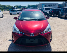 Toyota Vitz 2019