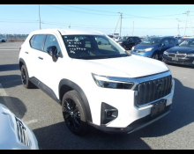 Used Honda Wr-v Cars For Sale in Japan