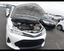 Toyota Corolla Fielder 2020