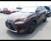 Lexus NX 2018