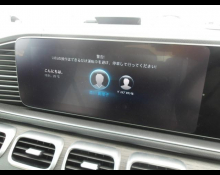 Mercedes Benz GLE-Class 2021