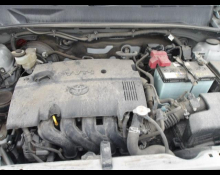 Toyota Succeed Wagon 2019