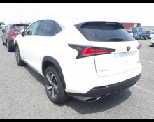 Lexus NX 2018
